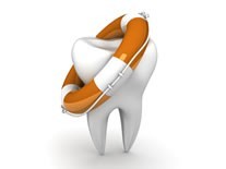 CMI. Dr. Laura Petre