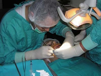 Clinica Stomatologica Dr. Ghise Sorin