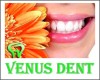 Venus Dent