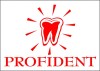ProfiDent