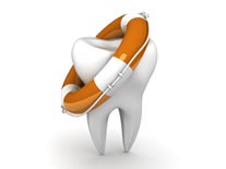 CMI. Dr. Laura Petre